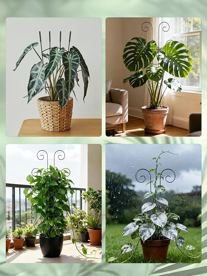 2 Pcs Tall Trellis for Potted Plants, 30'' Expandable Butterfly Shape Garden Trellis for Climbing Plants Indoor, Plant Pothos Climber Support for Monstera, Ivy, Hoya, Vine (Black)