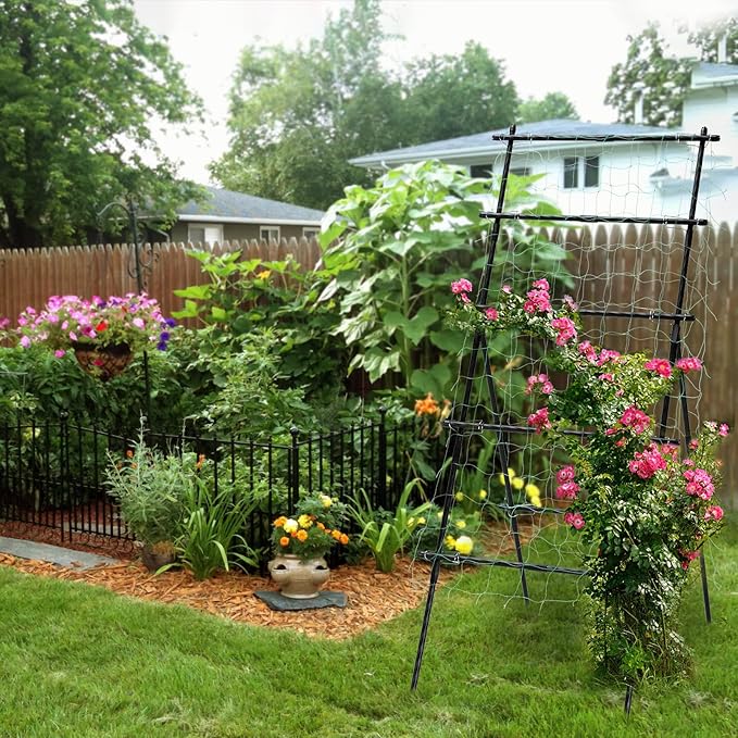 Lalahoni Cucumber Trellis, 6ft Tall Metal Garden Trellis for Climbing Plants Outdoor A-Frame Vine Plant Support for Vegetable Fruit Tomato Peas Beans Cucumber Trellis for Raised Bed