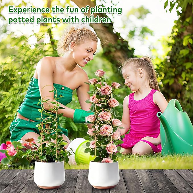 17.5 Inch Plant Trellis Indoor for Climbing Plants,Metal Small Garden Trellis for Potted Plants,Plant Stakes for Indoor Plants Accessories Hoya,Flower,Plant Support,Plant Gifts Gold 2PCS