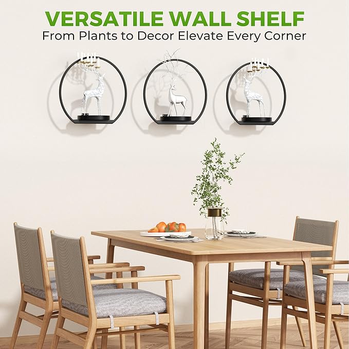 Wall Planters for Indoor Plants,Plant Frames Wall Decor Living Room Plant Stand Hanging Wall Plants Holder to Hold Large Pots Wall Plant Hanger Window Plant Shelves for Outdoor Entryway