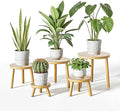 Delma Wood Plant Stands Indoor, 5-Pack Single Plant Stand for 6-12 Inch Pots, Mid-Century Modern Plant Stool, Tall Plant Stand for Large Plants for Living Room, Balcony, Office (Light Brown, 5-Pack)