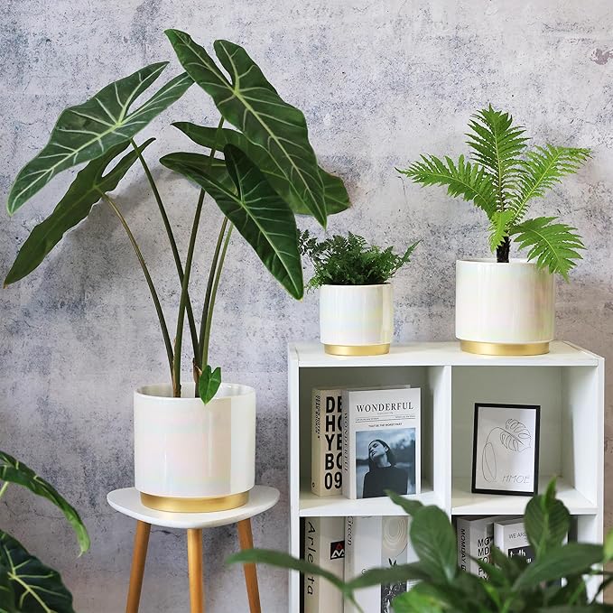 Gepege White Indoor Plant Pots for Plants, Ceramic Planter with Drainage Hole, 7.6 Inch +6 Inch 2pcs Succulent Orchid Flower Pot - Rainbow Pearl Glaze