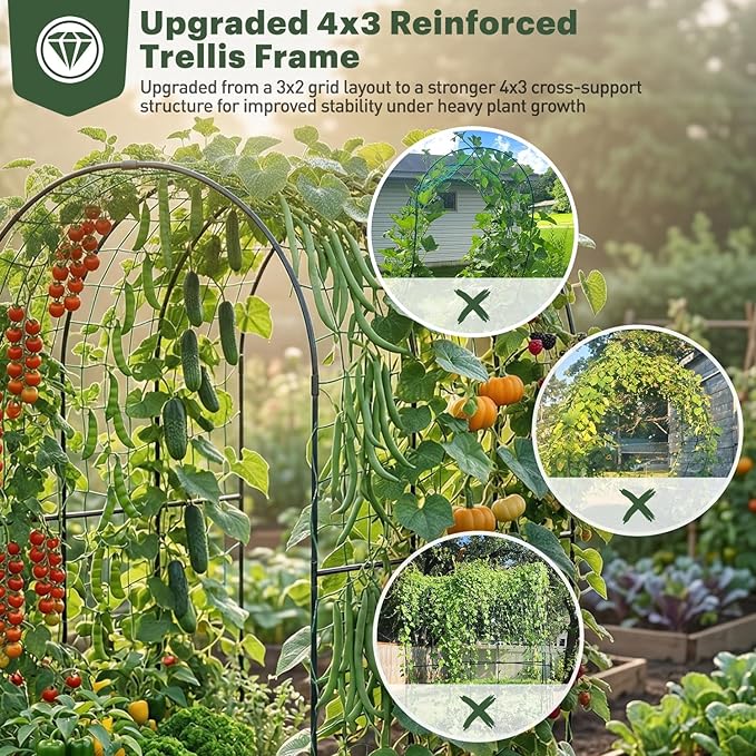 DTIG Galvanized Raised Garden Bed with Trellis, 6×3×1 FT 2 Pack Outdoor Garden Bed, Upgraded 4×3 Support, Brown