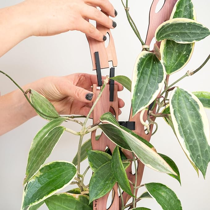 Treleaf Zella Grande Extension Kit - Wooden Extendable Plant Trellis for Indoor Climbing Houseplants - Modular Plant Support