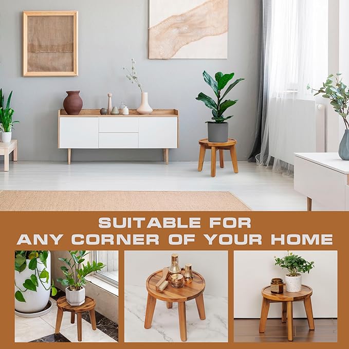 Demigo Indoor Plant Stand, Acacia Wooden Decorative Plant Shelf with Spill-Proof Tray, Stable 8” Tall Flower Holder for Heavy Pots, Gardening Display for Decor Living Room Patio - Natural Brown