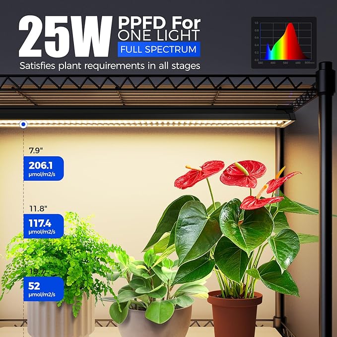 Barrina CX91Z Indoor Greenhouse with Grow Light, 5-Tier Plant Stand with Cover and 1.6FT 25W(Per Light) Full Spectrum Plant Lights, Plant Shelves with Tent for Seed Starting, 23.6x13.8x59IN