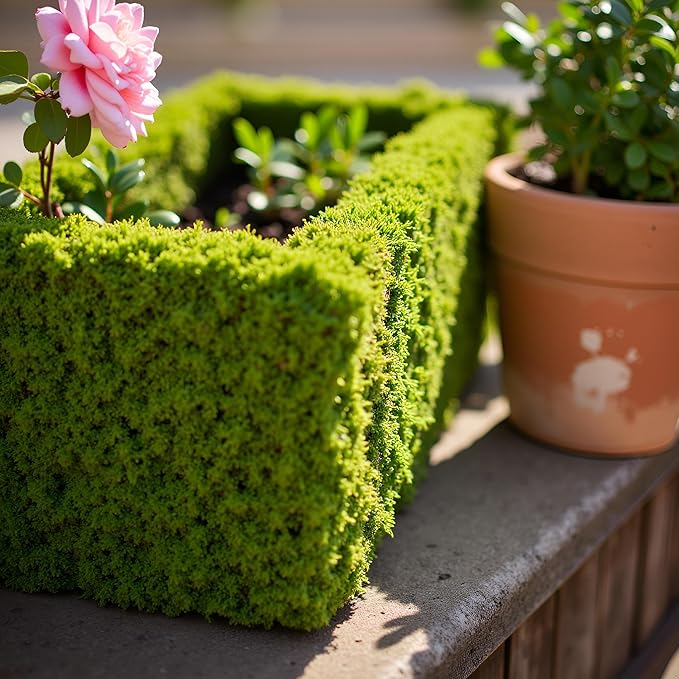 SuperMoss (29360) MossWeave Window Box Planter, Fresh Green, 30"