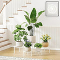 5-Pack Metal Plant Stand for Heavy Potted Plant for Home Indoor and Outdoor Heavy Duty Flower Pot Stands for Multiple Plant for Living Room