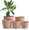 Utopia Home - Spotty Plant Pots Indoor with Drainage - 7/6.6/6/5.3/4.8 Inches Flower Pots - 5 Pack Plastic Planters - Ideal for Stocking Stuffers - (Speckled Peach Pink, Pack of 5)