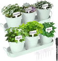 Herb Garden Planter Indoor Kit – 6 Metal Pots with 2 Trays for Windowsill & Kitchen Counter – Modern Decorative Indoor Planters for Herbs, Succulents & Small Plants, Mint