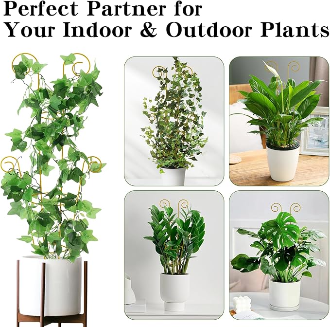 ZOUTOG Trellis for Climbing Plants Indoor 4 Pack 30 Inch,Rustproof Metal Garden Trellis for Potted Plants,Houseplant Support Indoor Outdoor for Ivy Pothos Monstera Hoya Flower Vines(Golden Round)