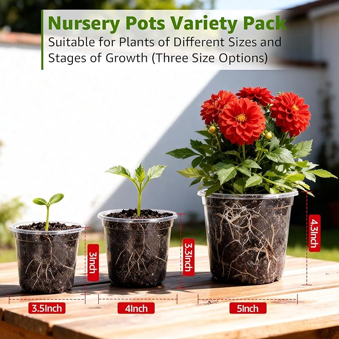 MIXC Clear Nursery Pots with Drainage Holes, 5/4/3.5 Inch Reinforced Transparent Plastic Seed Starter Pots, for Indoor Outdoor Gardening Seedling Planter, 30 Pack