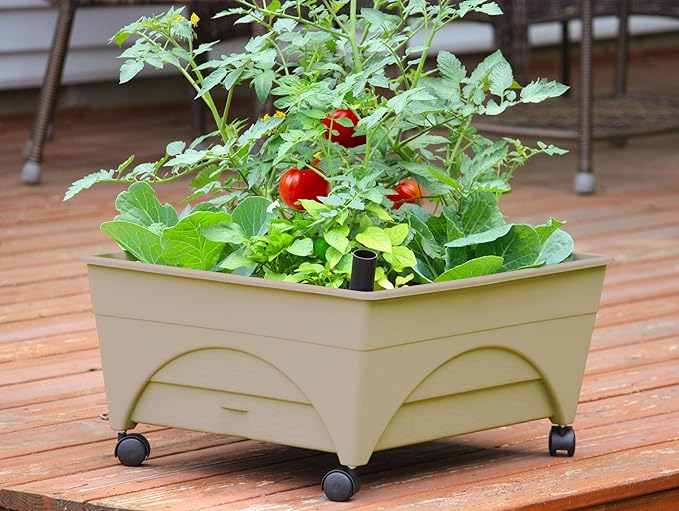 Emsco Group 2342-1HD City Picker Self Watering and Improved Aeration – Mobile Unit with Casters-Sand Raised Bed Grow Box