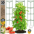 K-Brands Tomato Cage - Tomatoes Plant Stakes Support Cages Trellis for Garden and Pots (3 Pack - Extra Tall Upto 68 inches)