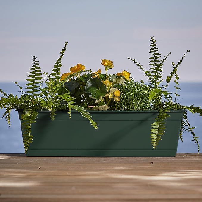 Bloem Dayton Window Box Planter: 24" - Turtle Green - 100% Recycled Durable Plastic Box, Elevated Feet, for Indoor and Outdoor Use, Gardening, 5 Gallon Capacity