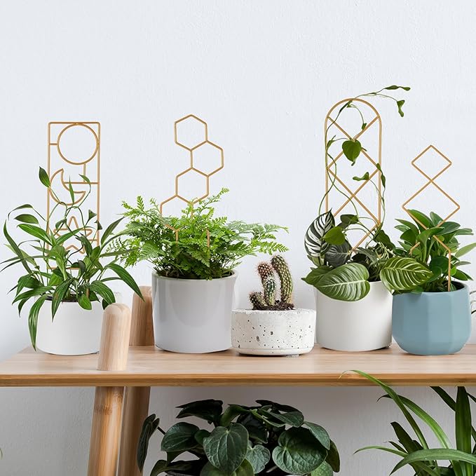 Small Trellis for Potted Plants, 15.94 inch Gold Metal Plant Trellis for Climbing Plants Indoor, Pant Lattice for Ivy Vines Hoya Houseplants Flower 4 Pack