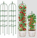 Garden Trellis for Climbing Plants Outdoor & Indoor - 6Ft Tall Rustproof Plant Support Cage for Vines, Flowers, Vegetables, Roses | Heavy-Duty, Adjustable & Decorative (3)