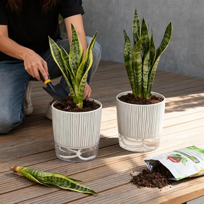 6 Pack Self Watering Pots for Indoor Plants, Flower Planters with Wick Rope & Reservoir, 4" + 5.5" Plastic Pots for African Violet, Orchid, Succulent, Herbs