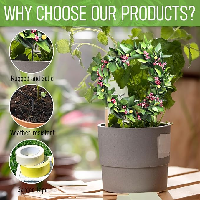 2 Pack Round Plant Trellis for Indoor Potted Plants, Acrylic Small Trellis for Climbing Plants Indoor Outdoor Plant Support for Hoya Pothos Vine Ivy Monstera Flower Philodendrons Dischidia