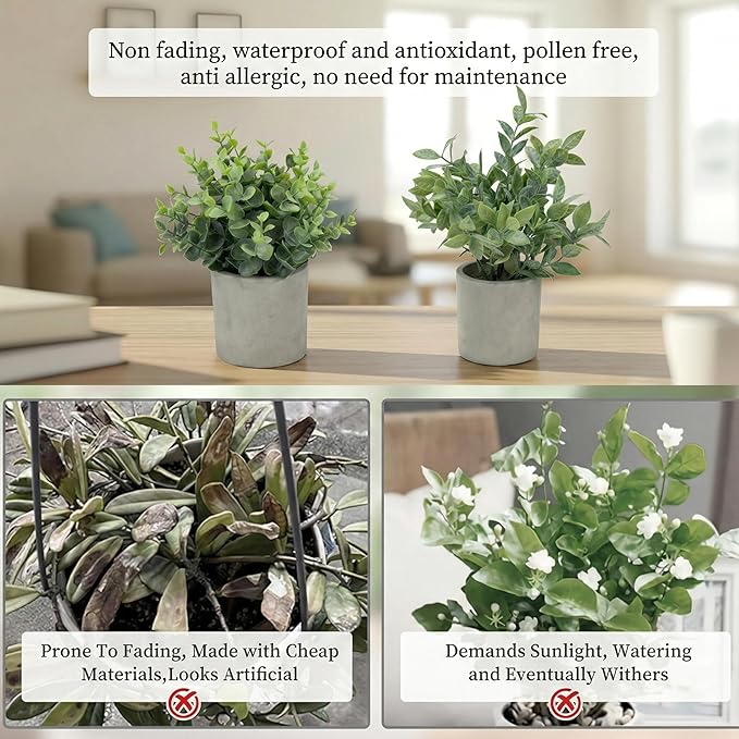 Fake Plants, 5 Pack Artificial Eucalyptus & Greenery in Cement Pots - Small Potted Faux Plants for Indoor Outdoor Shelves, Desk, Table, Farmhouse Bathroom, Office & Modern Home Decor