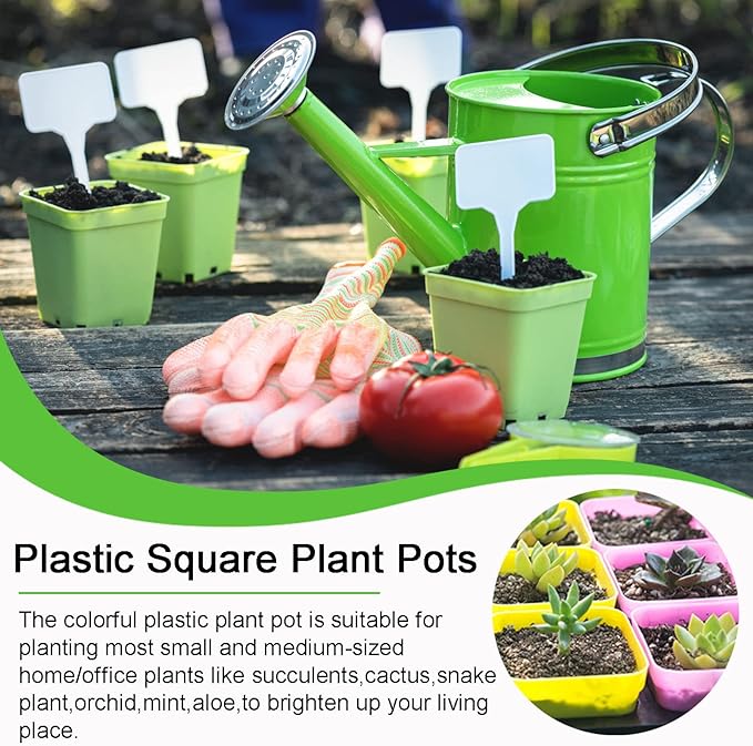 Anyumocz 42 PCS Plastic Square Plant Pots,Multi Color Nursery Pots,Small Flower Pots for Indoor Outdoor Plants,Garden,Home Balcony Decorations