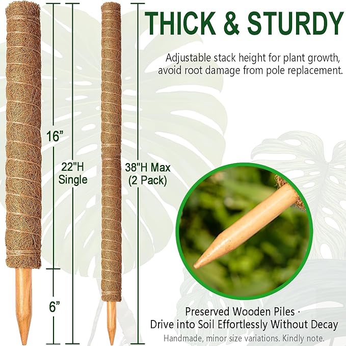 Soupiar 2 Pack 22 Inch Stackable Moss Pole - Thick & Sturdy Natural Coir Totem Plant Support & Garden Stakes for Monstera & Pothos, Indoor Climbing Vining Houseplants, 38”H Max