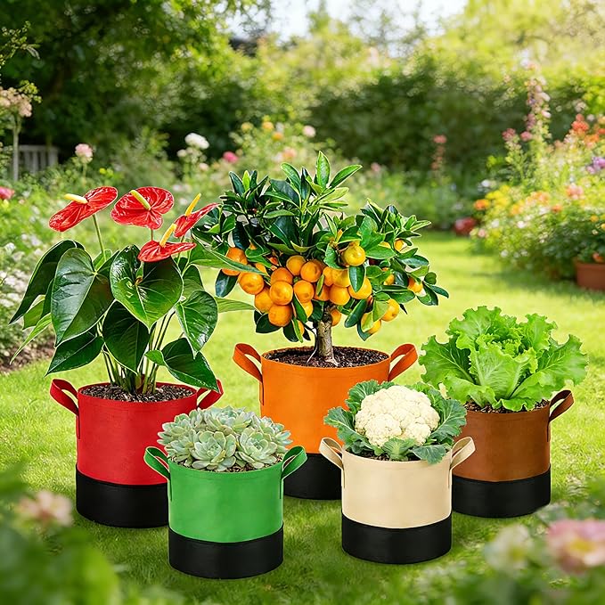 3 Gallon Fabric Grow Bags 5-Pack, 350G Heavy Duty Nonwoven Plant Pots with Handles, Breathable Root Pruning Containers for Vegetables Flowers Indoor Outdoor Gardening