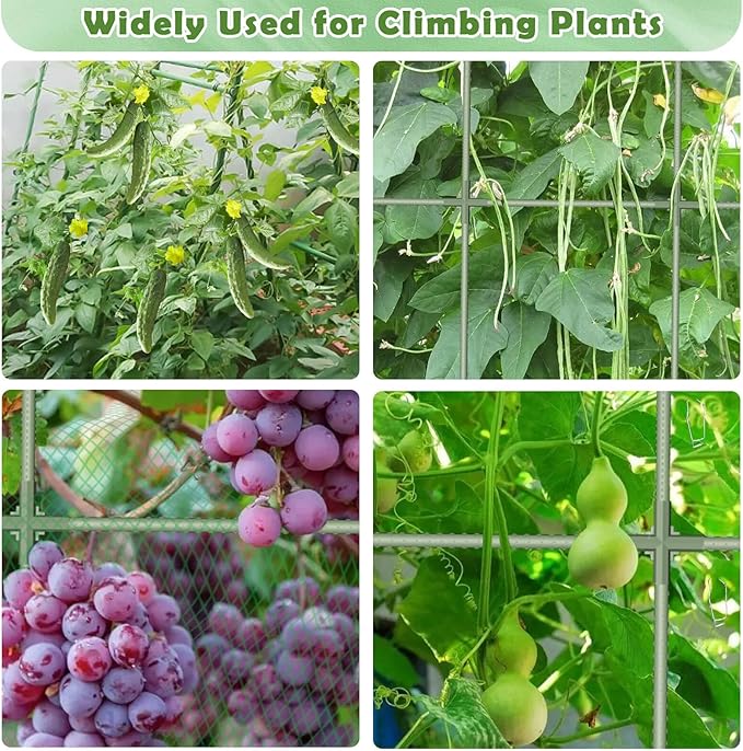 Cucumber Trellis for Raised Bed, Garden Arch Trellis for Climbing Plants Outdoor, Metal Garden Trellis for Spring Vegetables, Cucumber Trellis for Tomato, Bean, Pea, Grape, Plant