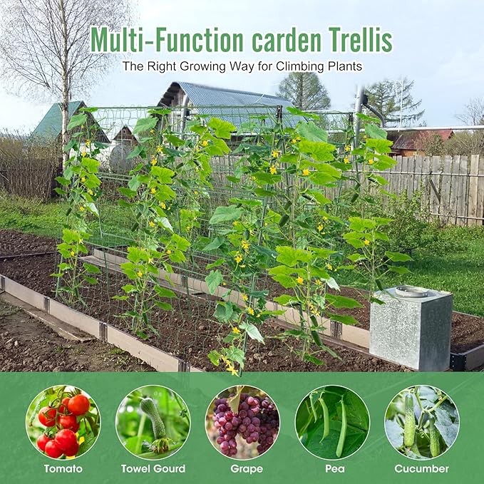 55" H x 36" W Cucumber Trellis for Raised Bed Garden, Cucumber Trelli for Climbing Plants Outdoor，A-Frame Vegetable Grow Supports, Tomato Plant Support for Tomato Squash Zucchini (1PC)