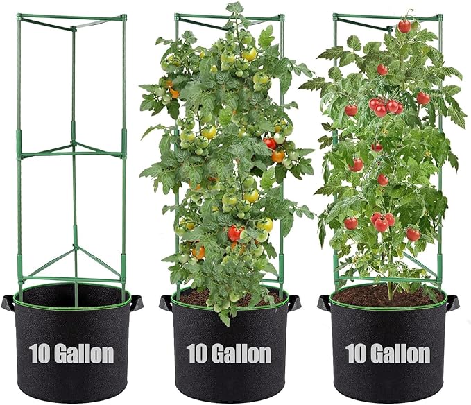ANPHSIN 3 Sets Tomato Cages with 10 Gallon Grow Bags - 48" Stable Plant Garden Planter, Flowers Vegetable Trellis Pots for Tomato Vertical Climbing Plants Vines