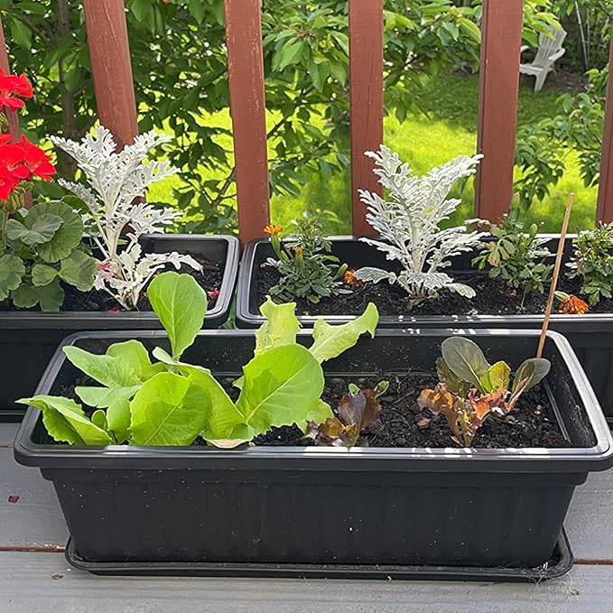 6 Pack 17 Inch Flower Window Box, Plastic Vegetable Planters Long Pots with Tray, Black Garden Flower Plant Pot for Windowsill Patio Garden Porch Balcony, with 30 PCS Plant Labels
