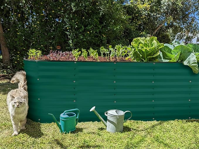 Plant & Plot Galvanized Raised Garden Beds Outdoor // 6×2×2 ft Planter Raised Beds for Gardening, Vegetables, Flowers // Large Metal Garden Box (Dark Green) // Patented Tool-Free Design