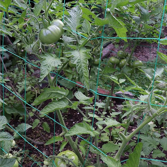 Trellis Netting for Climbing Plants - Heavy Duty Garden Trellis Netting for Cucumber, Vine, Fruits & Vegetables Tomato Plants Trellis Net, Climbing Vining Plants (1-Pack 32.8' x 6.6'Ft)