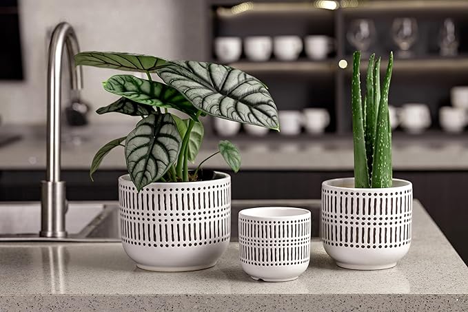 Docrin 3-Pack Ceramic Planters Set - 6.5"+5.3"+4" Dual-Tone Flower Pots with Drainage Holes, Modern Indoor Outdoor Planters for Succulents/Herbs/Large Plants, Home Office (Brownish Black & White)