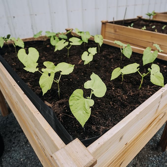 Backyard Expressions 48"x34" Raised Garden Bed - Elevated Wood Planter Box for Healthy Plant Growth, 440 lb Capacity - Natural Color