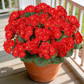 Artificial Flowers for Outdoors, 6 Bundles Realistic Silk Fake Red Geraniums, UV Resistant Faux Flowers for Planters, Hanging Baskets, Window Boxes, Porch, Patio Valentine's Day Decor
