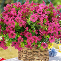 Artificial Flowers for Outdoor, UV Resistant Fake Silk Flowers, Realistic Faux Plants for Outside Indoor Porch Patio Window Box Planter Home Decor (20, Rosy)
