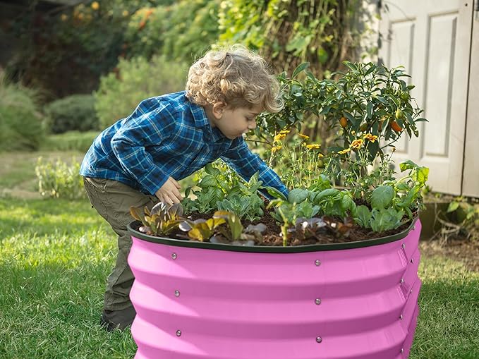 Plant & Plot Galvanized Raised Garden Beds Outdoor // 4×2×1 ft (2-Pack) Planter Raised Beds for Gardening, Vegetables, Flowers (Pink) // Large Metal Garden Box