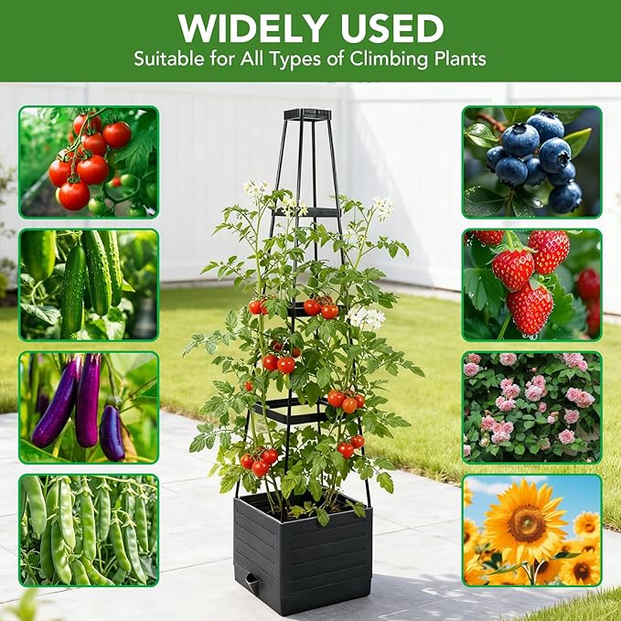 2 Pack Raised Garden Bed Planter Box with Trellis, 57'' Self Watering Tomato Planters for Climbing Plants, Tomato Cage Trellis for Vegetables & Vine Flowers Indoor Outdoor Patio