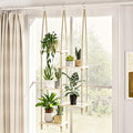 Bamworld Hanging Shelves Plant Hanger Indoor Window Plant Shelves Wood Plant Wall Shelf Window Sill Plant Shelf Indoor Hanging Plant Stand Living Room Decor Garden Boho Decor