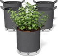 Self-Watering Grow Bags, 5-Pack 10 Gallon 420G Thick Nonwoven Fabric Pots with Reinforced Handles and Multi-Purpose Rings, for Low Stress Plant Training Fruits, Vegetables,and Flowers