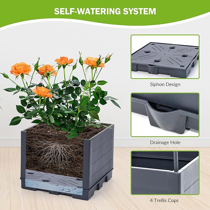 GENMOUS Raised Garden Bed with Tomato Planter Box Trellis, 56'' Tomato Cages for Garden, Tomato Planter Cage for Patio for Climbing Plants Vegetable Vine Flowers Outdoor & Indoor, 2 Pack