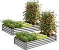 Galvanized Raised Garden Bed,Outdoor Planter Box Metal Patio Kit Planting Bed for Vegetables Flowers Herb (Galvanized, 6x3x1ft-2p)