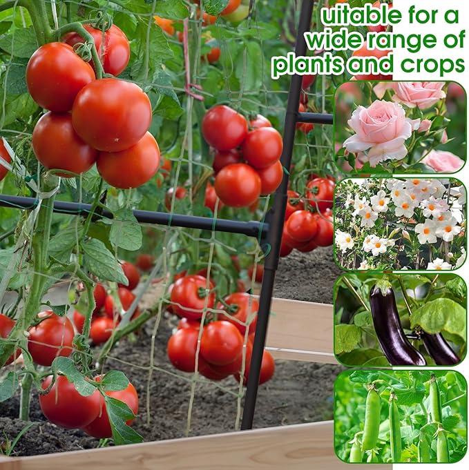 Lalahoni Garden Arch Trellis for Climbing Plants Outdoor, 7.8 Feet Tall Metal Large Archway Arbor Trellis Vine Plant Vegetables Squash Pumpkin Peas Beans Cucumber for Garden Raised Bed, Black