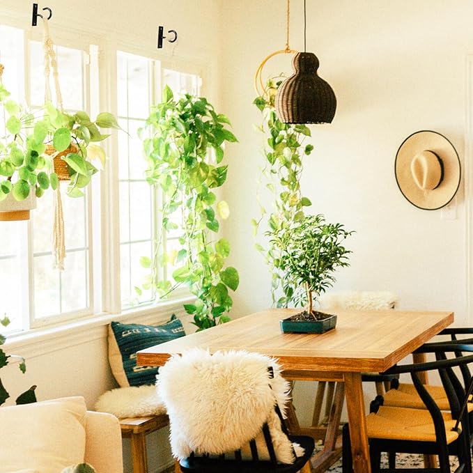6Pack 2.5Inch Ceiling Hooks for Hanging Plant, Hanger for Indoor and Outdoor Plant Pots Holder, Wall Hook for Planters, Flower Basket, Wind Chimes, Lanterns, Lights, Bird Feeders, Home Decor