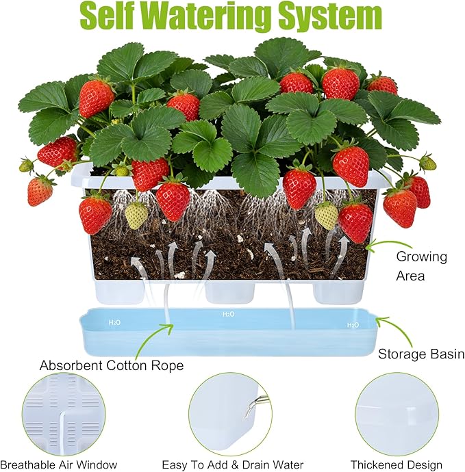 Window Box Planter 6 Packs, 13.8 Inches Rectangle Flower Pots with Drainage Holes & Trays, Pots for Vegetables, Herbs, Flowers, Garden Windowsill Balcony (Translucent White)