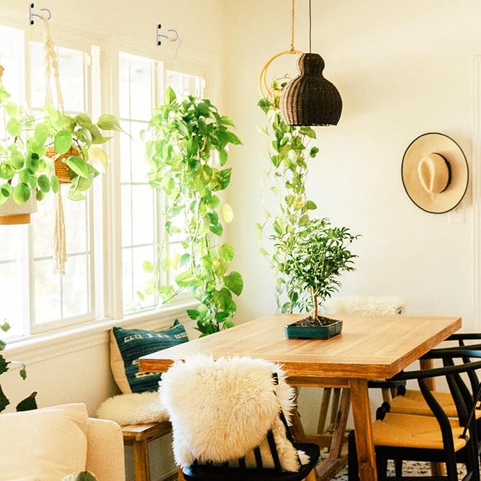 4Pack 2.5Inch Ceiling Hooks for Hanging Plant, Hanger for Indoor and Outdoor Planters Pots Holder, Wall Hook for Plant, Flower Basket, Wind Chimes, Lanterns, Lights, Bird Feeders, Home Decor-White