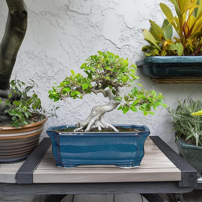 Bonsai Pots 11.6 Inch - Ceramic Succulent Pots with Drainage Hole, Rectangular Planter for Indoor Outdoor, Decorative Ceramic Flower Pot, Home Garden Room Decor, Plant Lover Gifts, Retro Blue