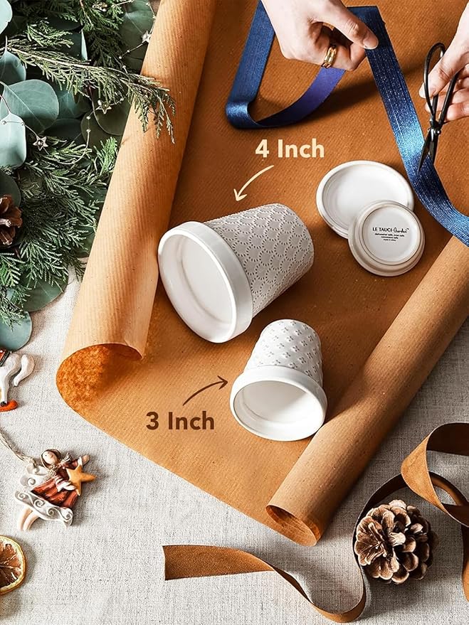 LE TAUCI 3 Inch Mini Succulent Pots - Very Small Ceramic Planter with Saucer, Tiny Embossed Flower Pots for Lithops, Mini Cactus, Air Plants, Fairy Gardens - Indoor Home Decor, Set of 4, Arctic White