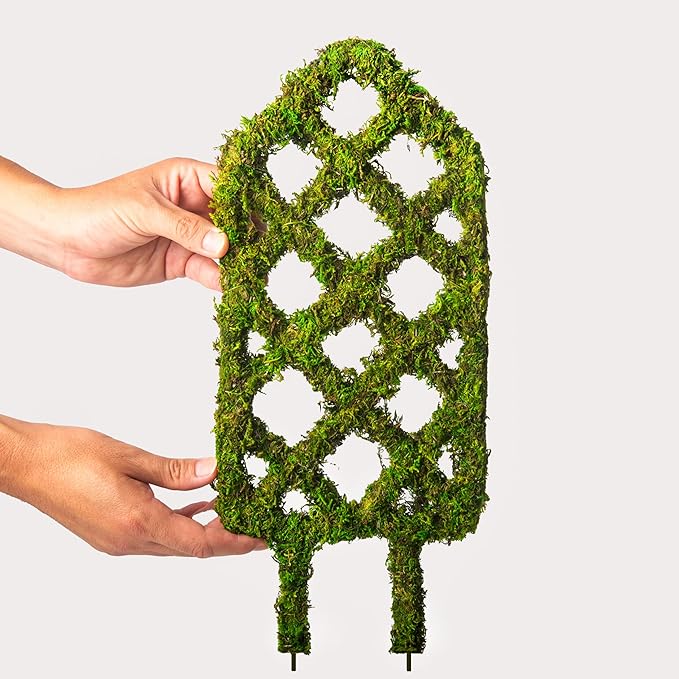 SuperMoss Plant Trellis - Decorative Garden Trellis for Climbing Plants Indoor & Outdoor | Moss-Covered Plant Support for Raised Garden Bed, Patio, Planters, and Garden Decor, Mini 17" X 6.5", Diamond